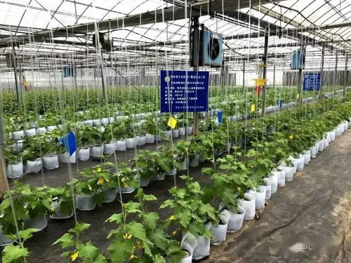 蘇州市首張食用農產品電子合格證在常熟啟用，推動零售食品安全監管升級